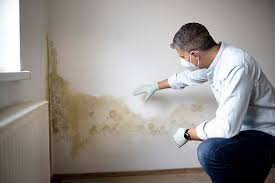 Best Mold Prevention Services  in Beaufort, SC